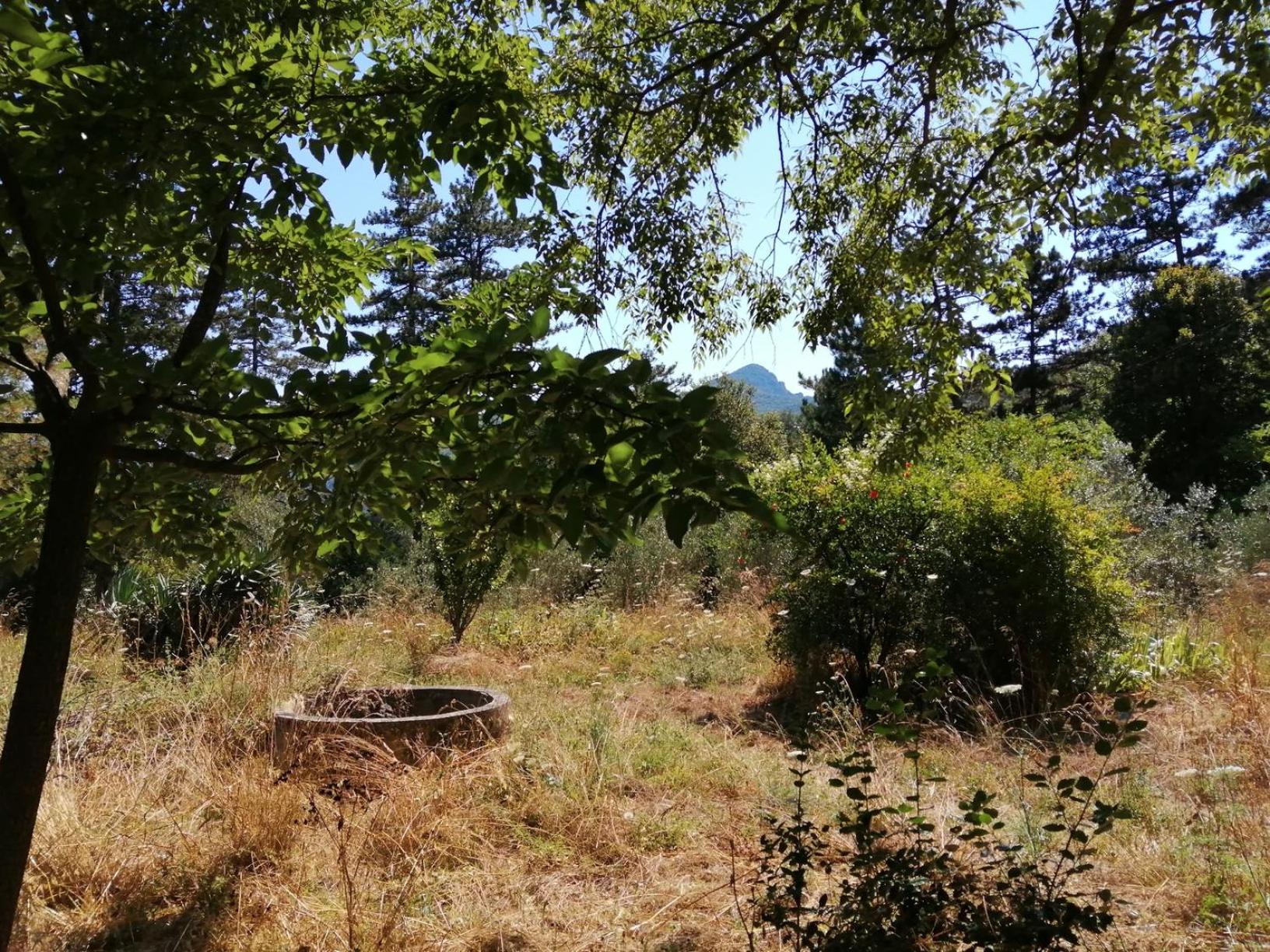 Mas Ferrieres Saint Laurent Sud Dış mekan fotoğraf